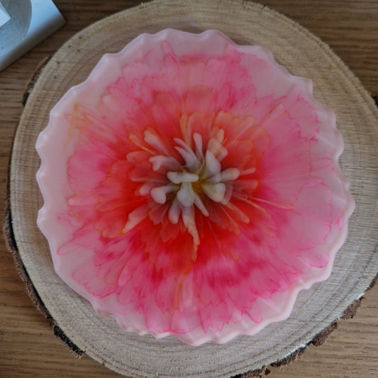 Bloom Coaster - Peach Melba