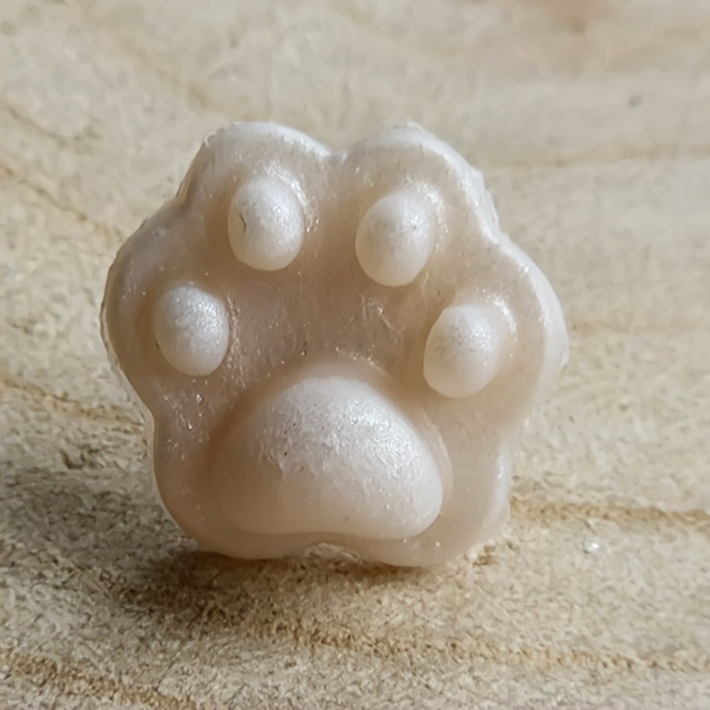 Clay Tiny Paw Print Stud Earrings - Embossed Ivory Shimmer